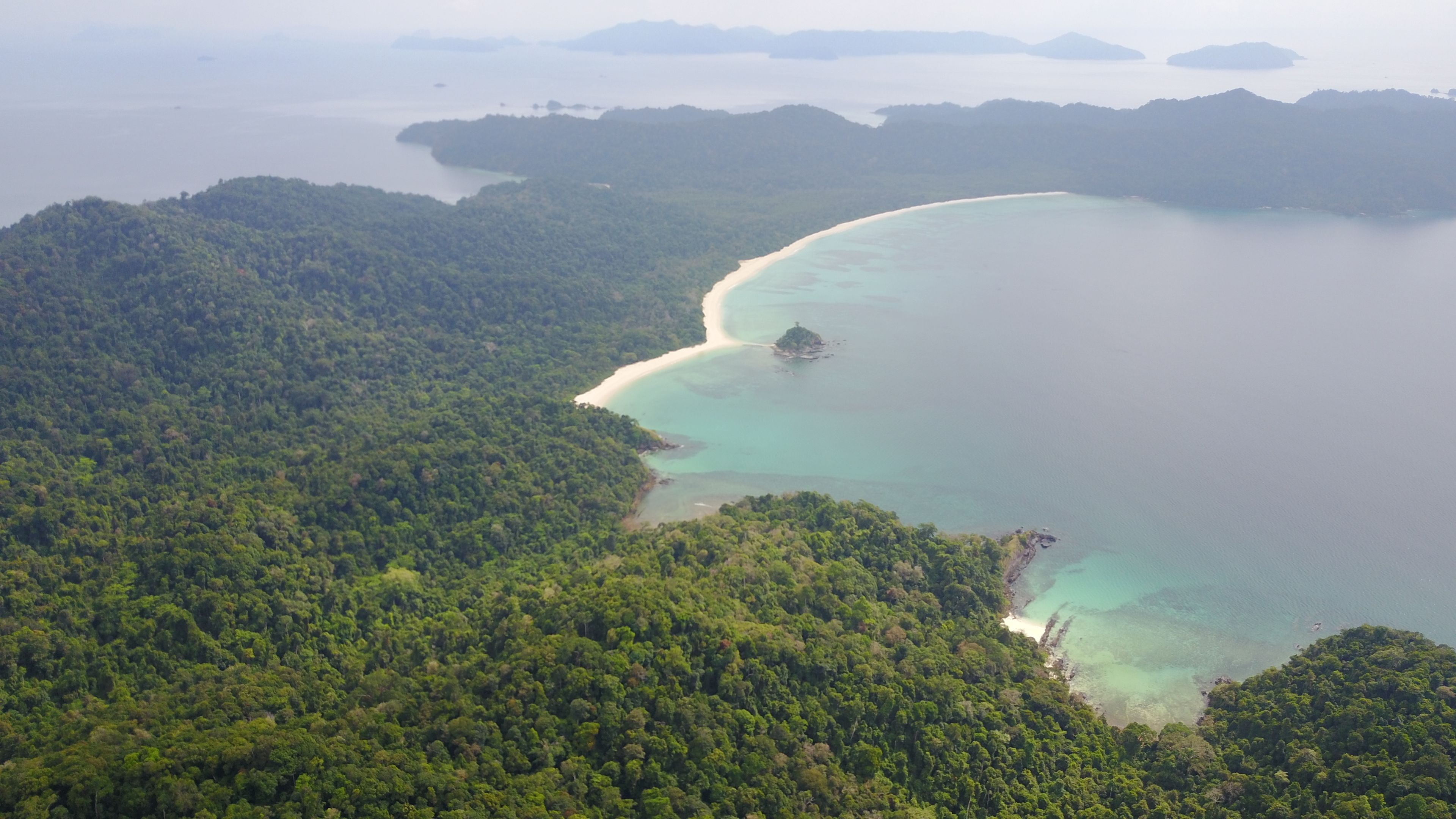 An aerial view of a coastal forested area with a beach and clear waters.