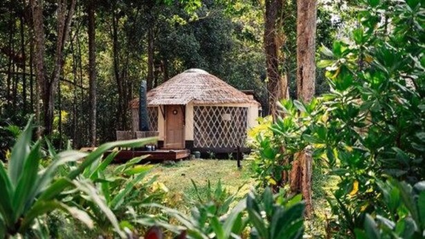 Una cabaña rústica rodeada de un bosque denso.