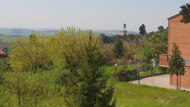 Studio (4 Persons) | View from room - Residenza Leonardo (Falconara Marittima)