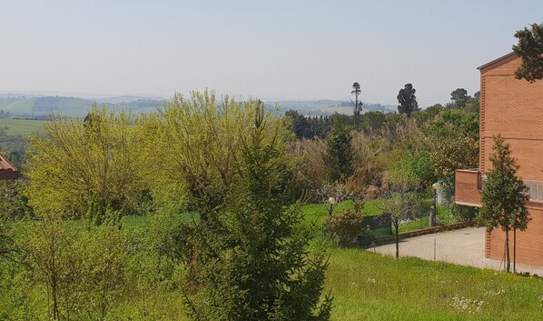 Studio (4 Persons) | Vue de la chambre