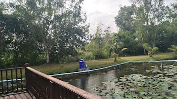 Family Bungalow | View from room