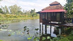 A wooden structure with a red roof over water, surrounded by greenery and lily pads. - Sarocha Resort Rayong (Rayong)