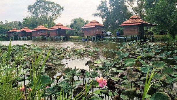 A row of traditional-style buildings with red roofs, situated over a body of water surrounded by lush greenery and lotus plants. - Sarocha Resort Rayong (Rayong)