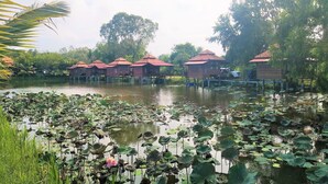 A water body with lotus flowers and a row of red-roofed buildings. - Sarocha Resort Rayong (Rayong)