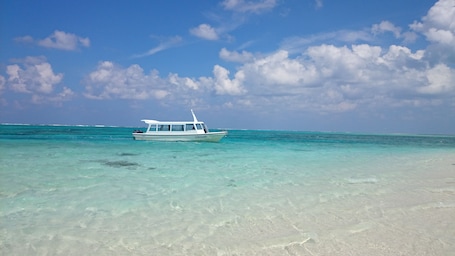 Una playa cerca, pesca. Hotel Garden Hills