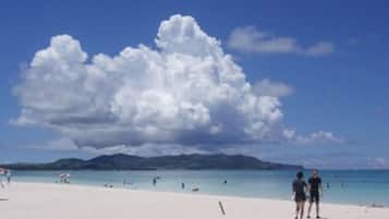 Una spiaggia nelle vicinanze, pesca