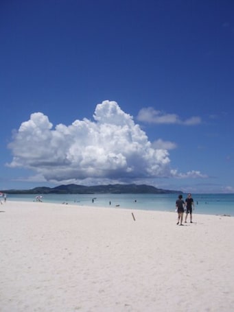 Una playa cerca, pesca