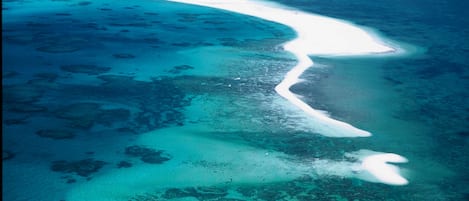 Beach nearby, fishing
