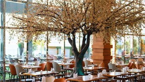 Ein Restaurant mit gedeckten Tischen, ein großer Baum mit Blüten im Zentrum und große Fenster im Hintergrund.