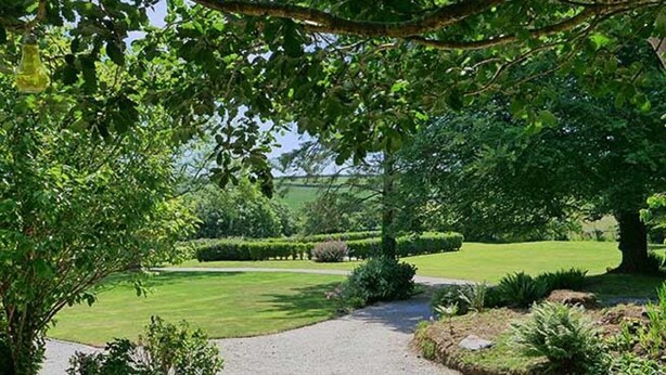 Property grounds - Secret Garden Cottage (Bude)