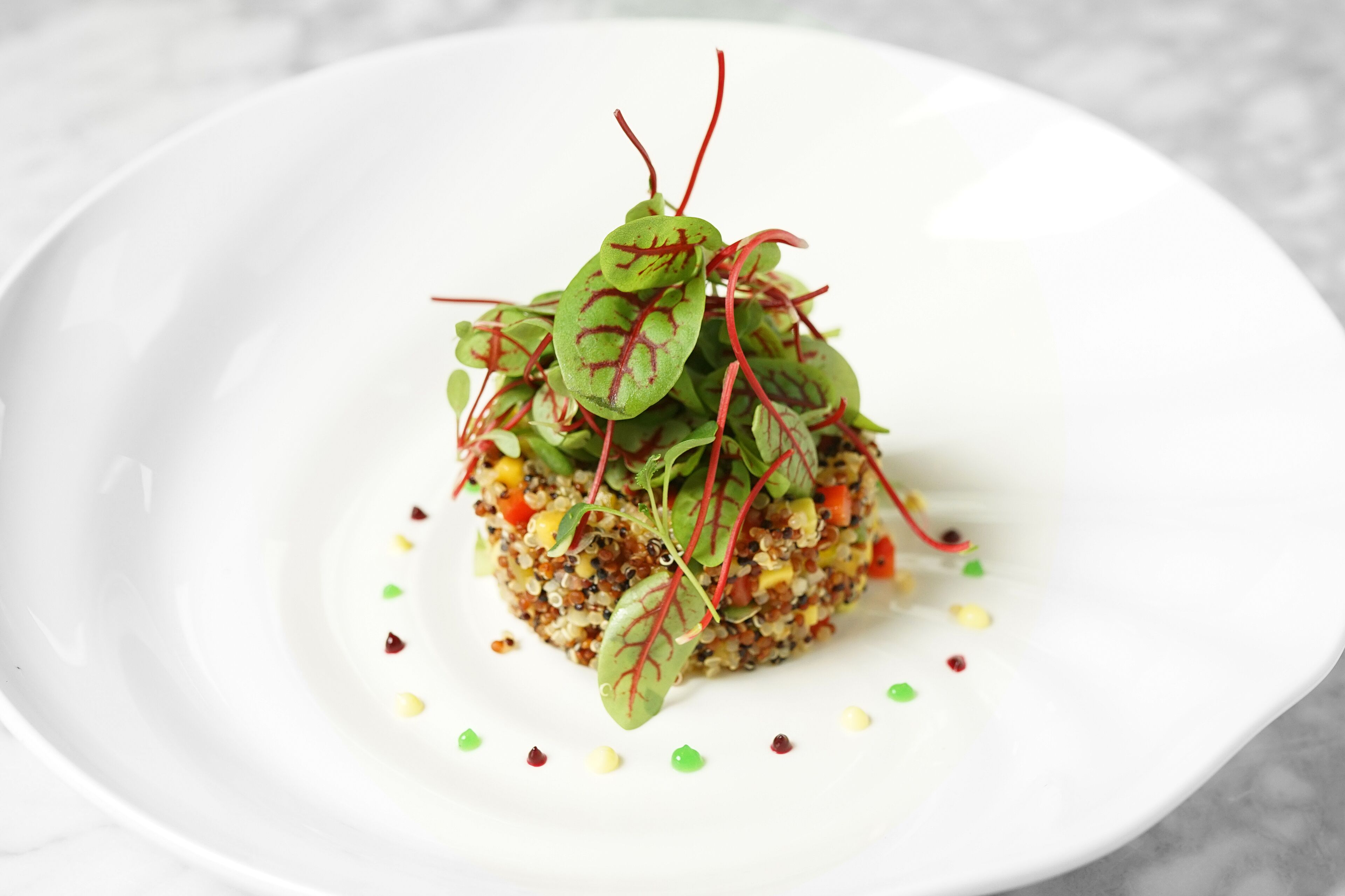Um prato branco com salada de quinoa coberta por folhas e brotos, servido sobre uma superfície de mármore.