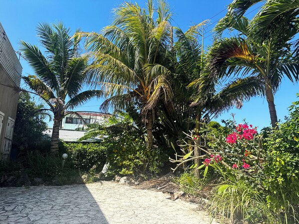 Exterior - Yonna Yonna (Miyakojima)