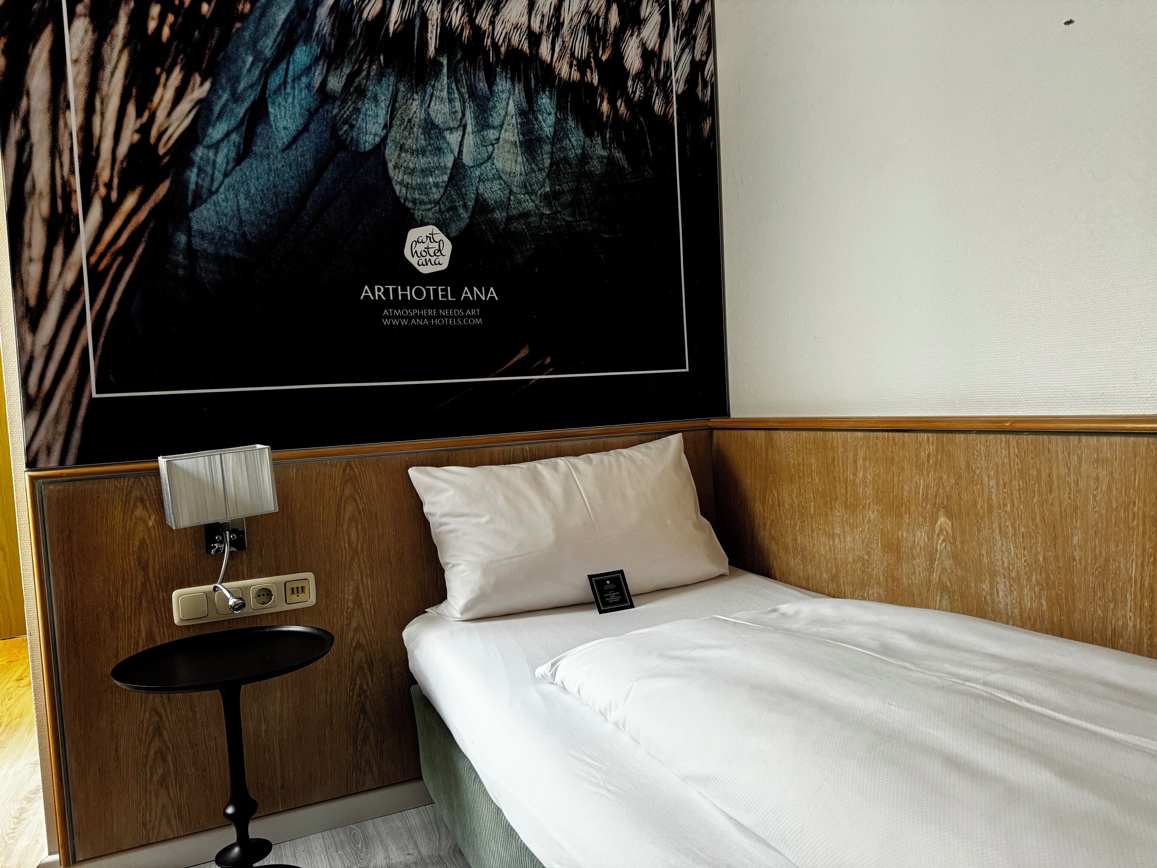 A hotel room with a bed, a bedside table, a wall-mounted artwork, and a power outlet.