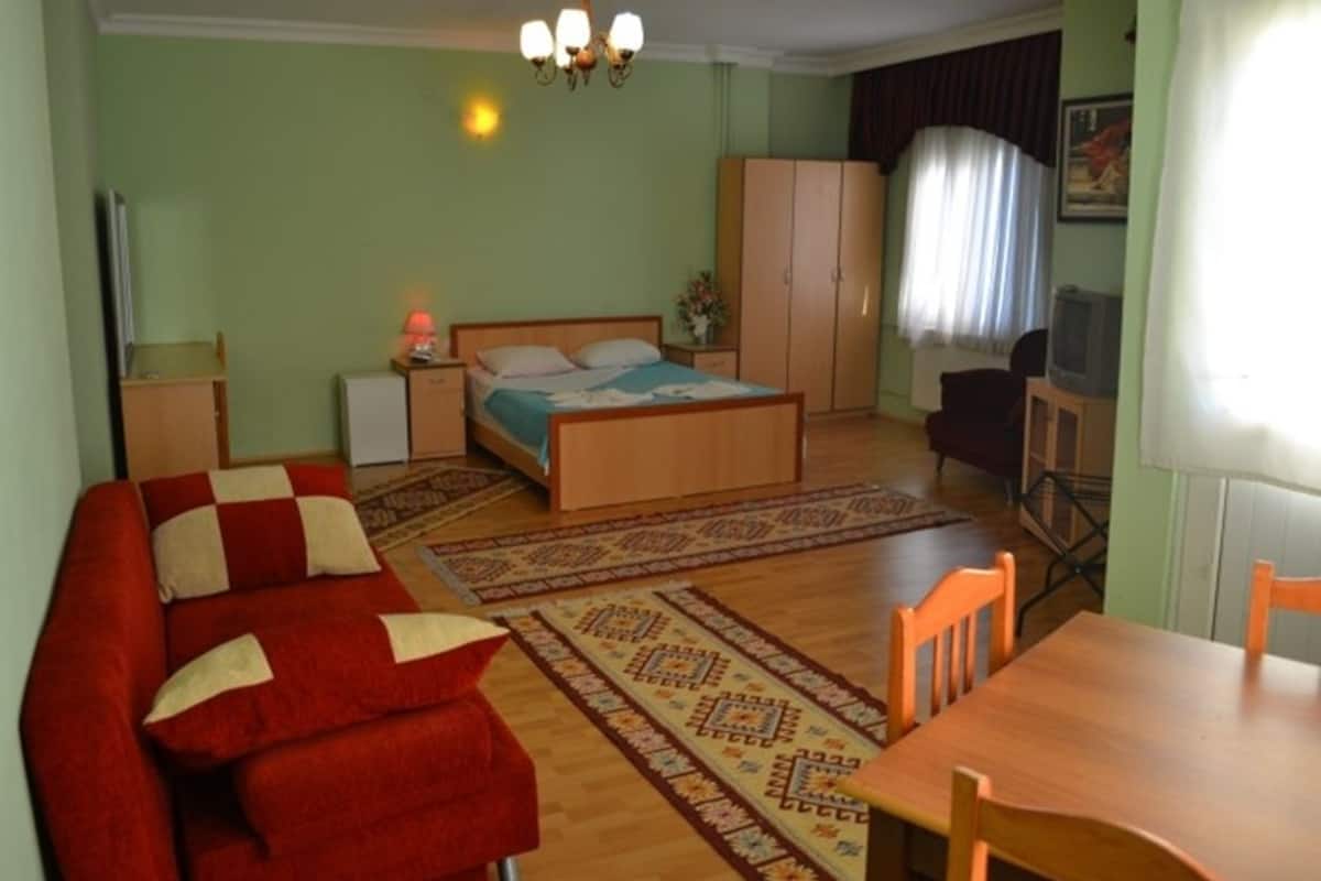 A room with a bed, a red sofa, a wooden table, and a television.