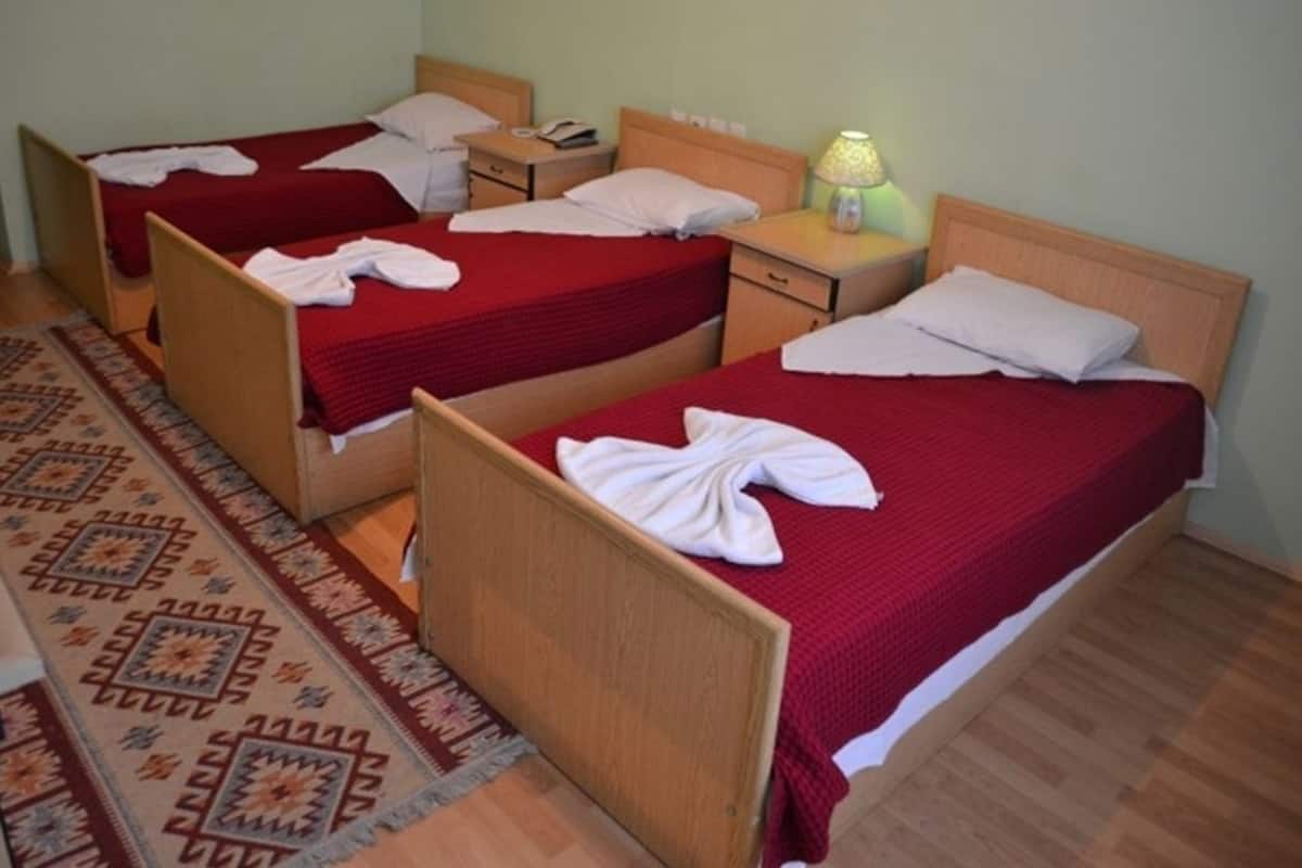 A hotel room with three single beds, each with a red bedspread and white pillows. There is a wooden headboard, a bedside table with a lamp, and a patterned rug on the floor.