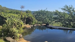 A tranquil outdoor swimming pool surrounded by lush greenery and a wooden deck.