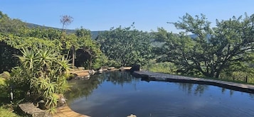 Una piscina tranquila al aire libre rodeada de exuberante vegetación y una terraza de madera.