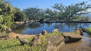 A serene outdoor pool area with natural rock formations and lush greenery.