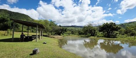 A tranquil outdoor setting with a covered seating area, a pond, and lush greenery.