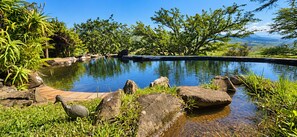 Naturlig basseng