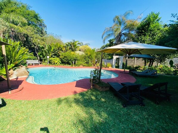 Outdoor pool, pool umbrellas, pool loungers