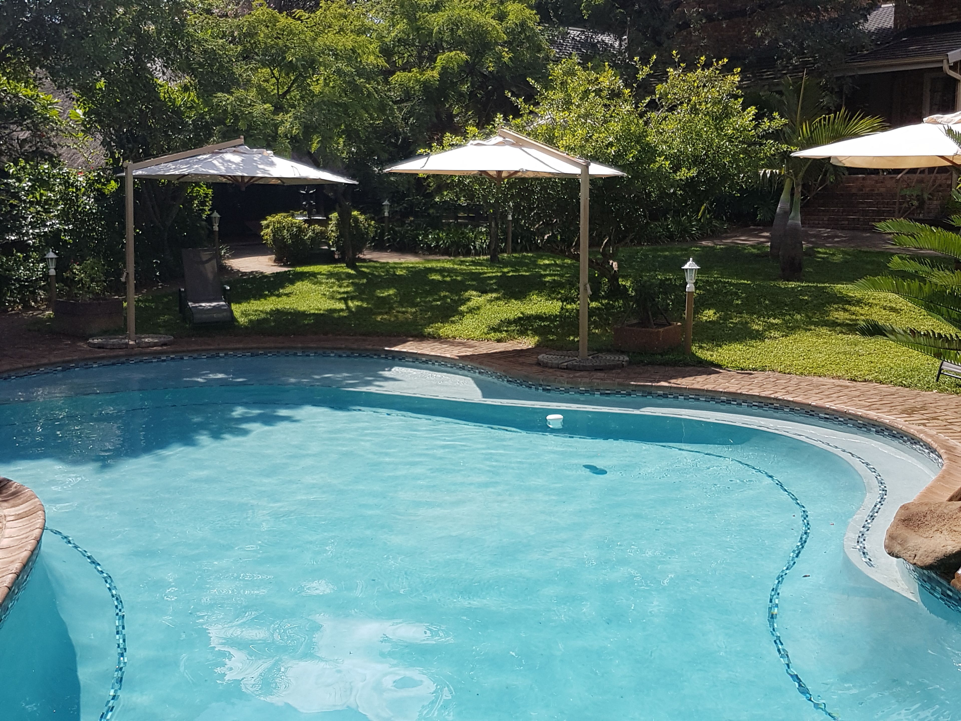 室外游泳池，提供泳池遮陽傘和日光浴躺椅