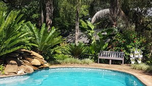 Piscina rodeada por vegetação exuberante e um banco de madeira.