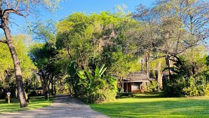 Uma trilha pavimentada que leva a um edifício rústico cercado por vegetação exuberante.
