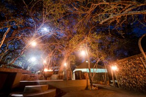 Unclassified image, 2 of 16, button - Bundox Safari Lodge (Hoedspruit)
