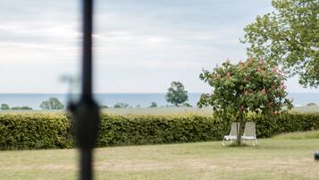 Ein grasbewachsenes Areal im Freien mit einer Hecke, zwei Stühlen und einem Baum mit rosa Blüten.