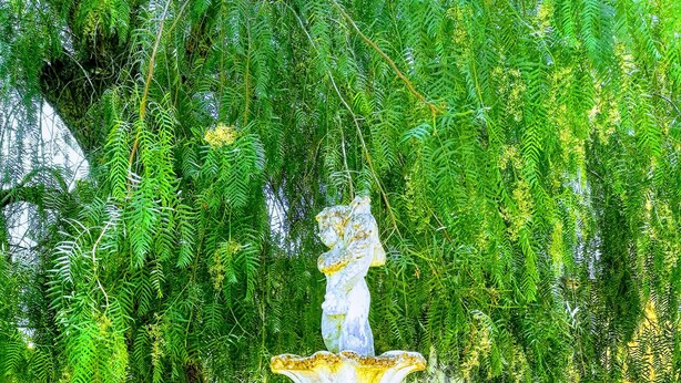A fountain with a statue in a garden with trees and a building in the background.