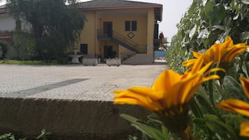 Facciata della struttura