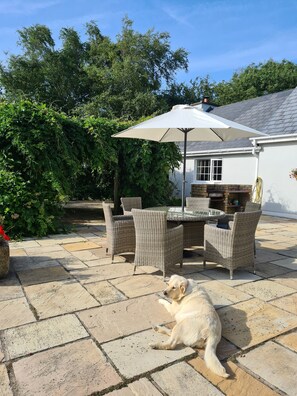 Un patio con una mesa, sillas, un perro y un paraguas grande.