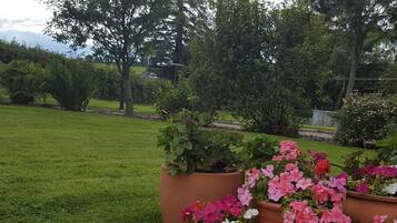Deluxe Double Room, Garden View, Ground Floor | Garden view