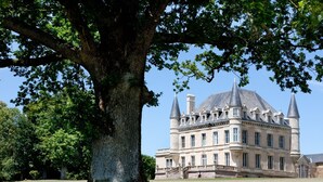 Un grand bâtiment historique, doté d’une tour imposante et d’un grand arbre en premier plan.
