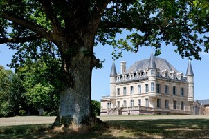 Un edificio grande y histórico con una torre destacada y un árbol grande al frente.