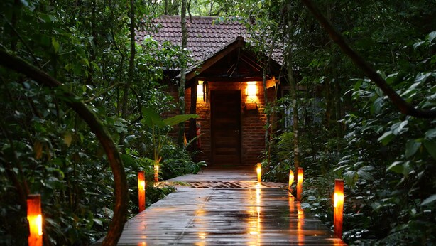 A wooden pathway leading to a rustic cabin with a tiled roof, surrounded by dense foliage and illuminated by candles.