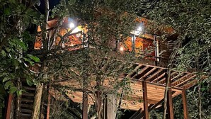 A treehouse structure with wooden beams and a platform, surrounded by dense foliage.