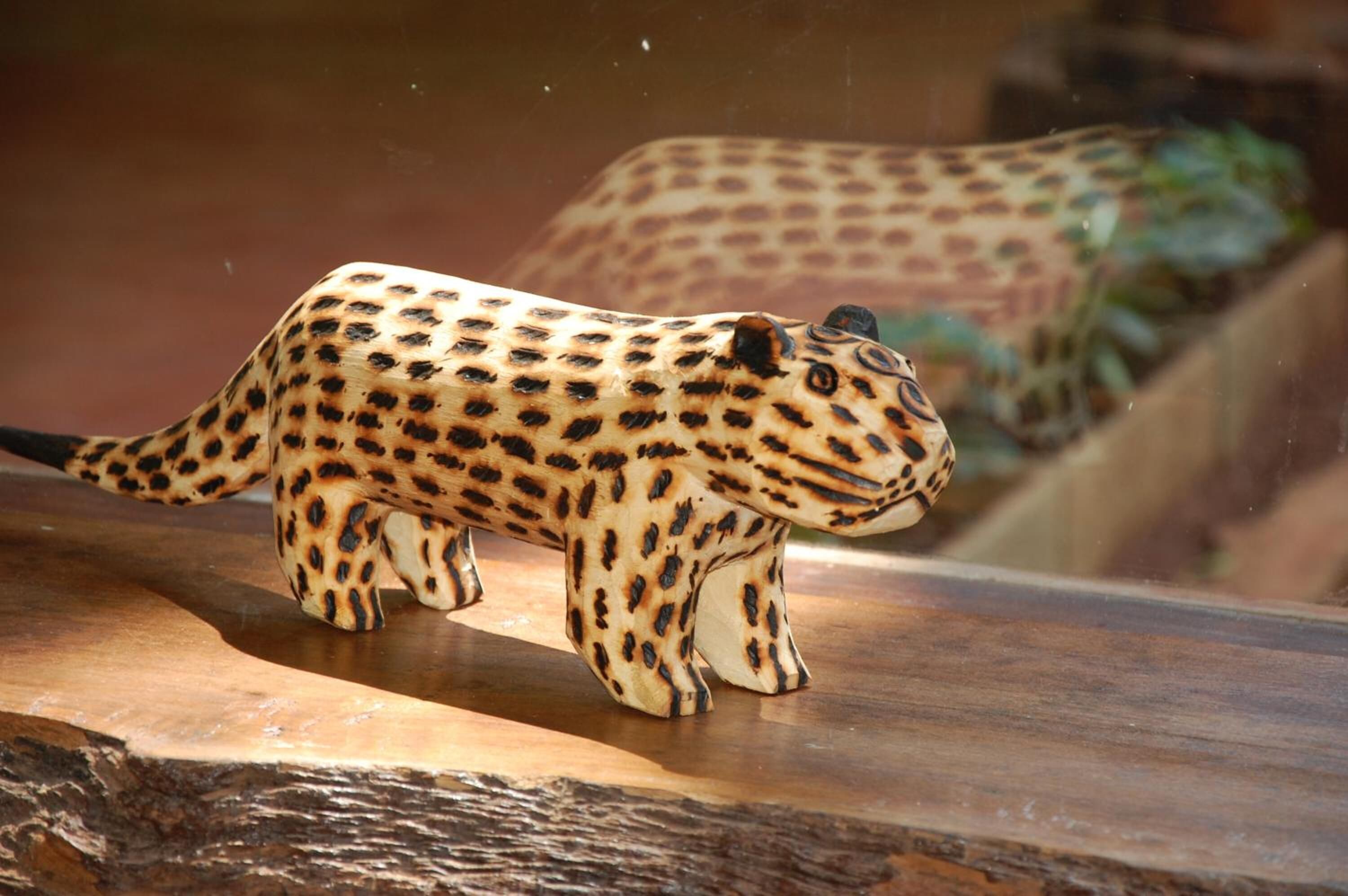 Foto - Tierra Guaraní Lodge