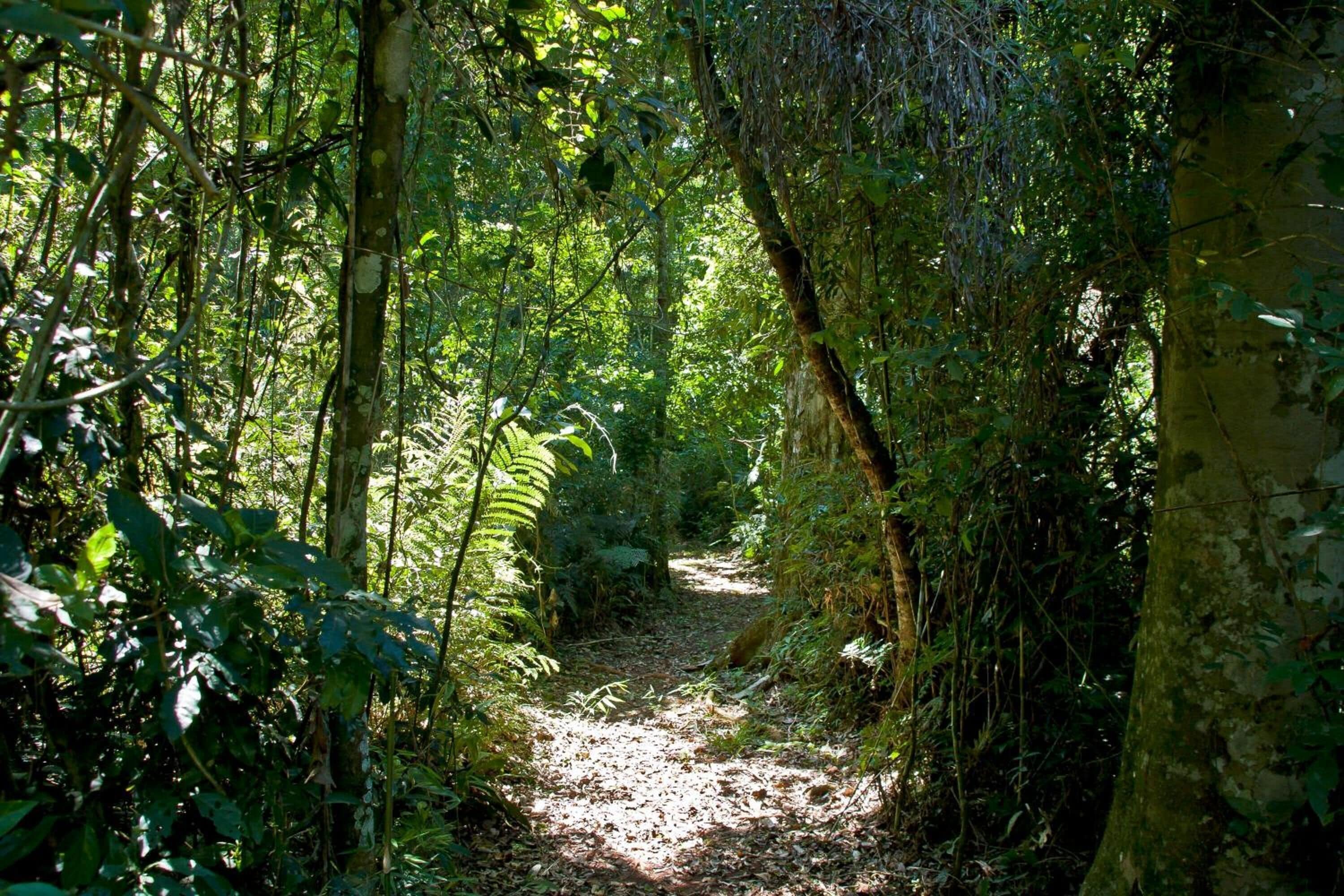 Photo - Tierra Guarani Lodge de Selva