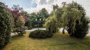 A park with various trees, a pathway, and a body of water in the background.