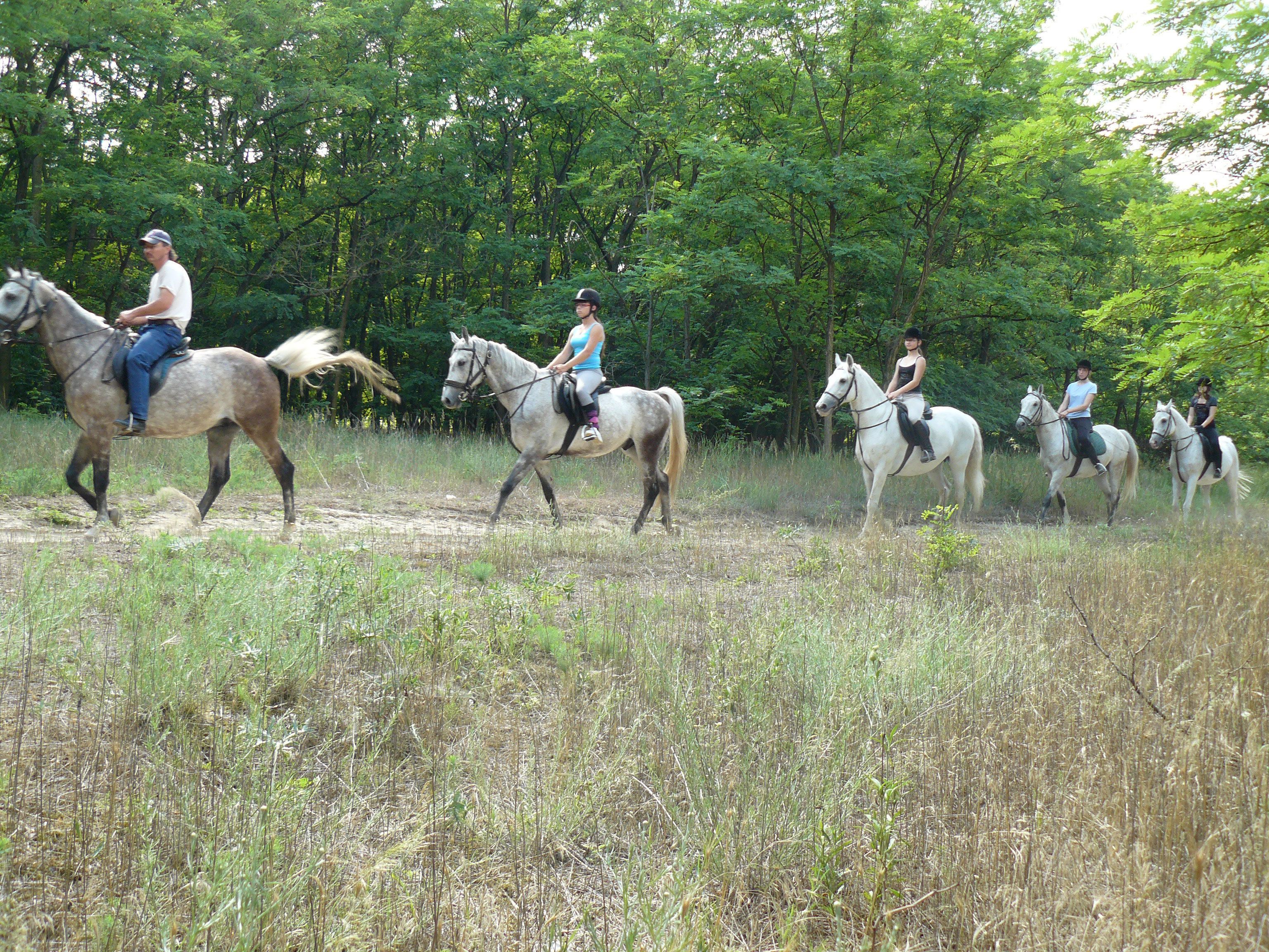 A group of people riding horses in a grassy field with trees in the background.