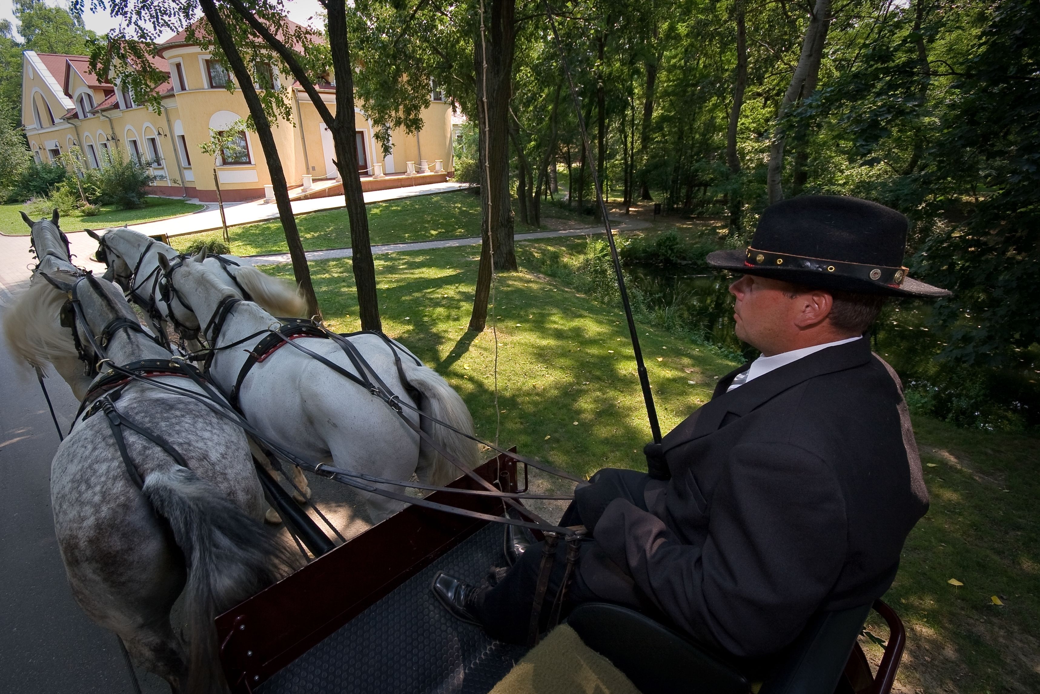 A carriage with two horses and a driver.