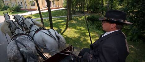 A carriage with two horses and a driver.