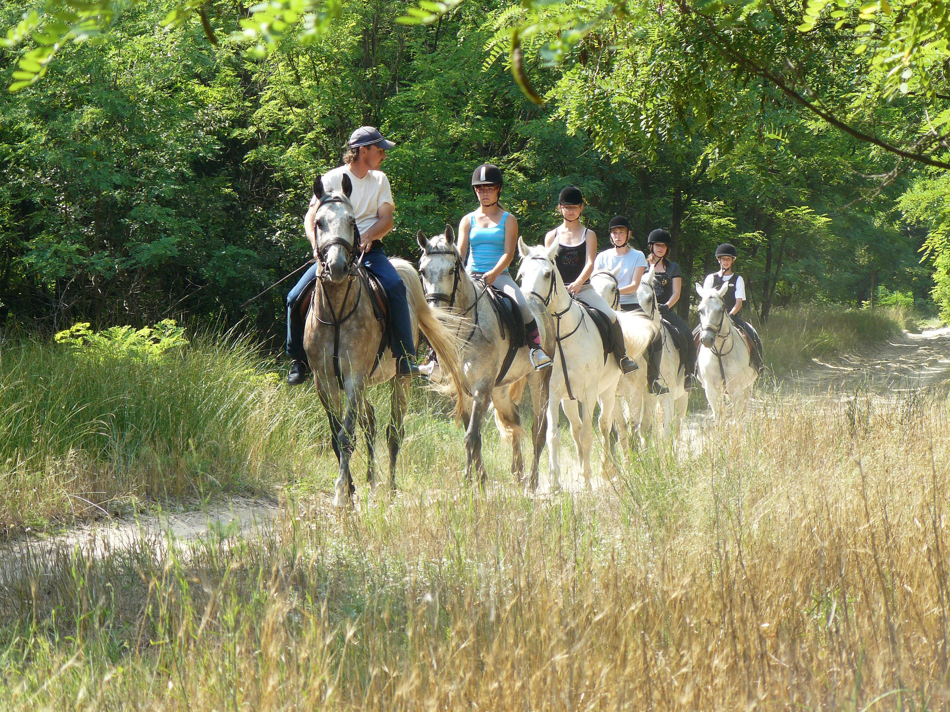 A group of people riding horses on a dirt path surrounded by tall grass and trees.