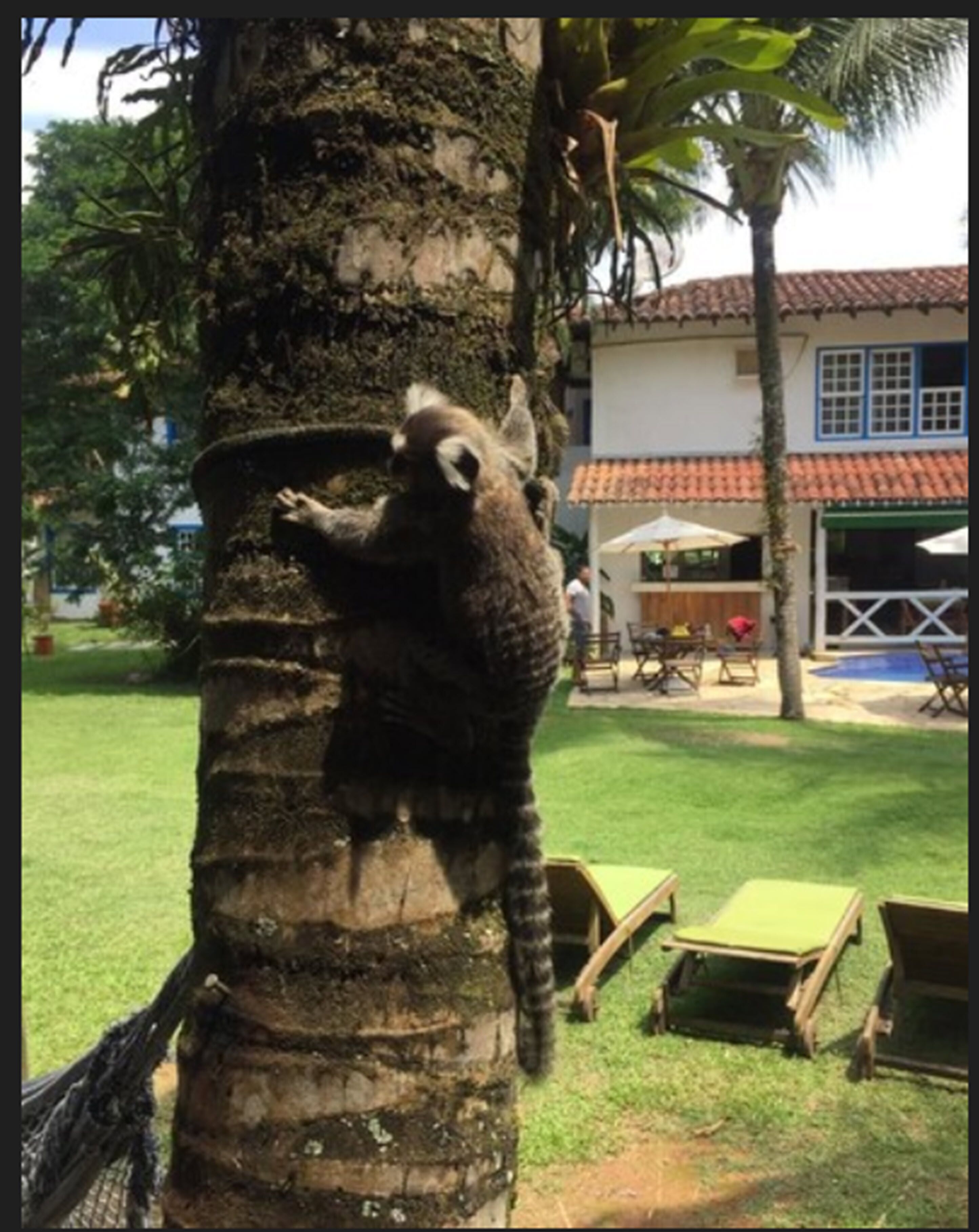 Foto - Pousada Villa Del Rey POSSUIMOS GERADOR