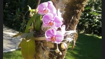 花園