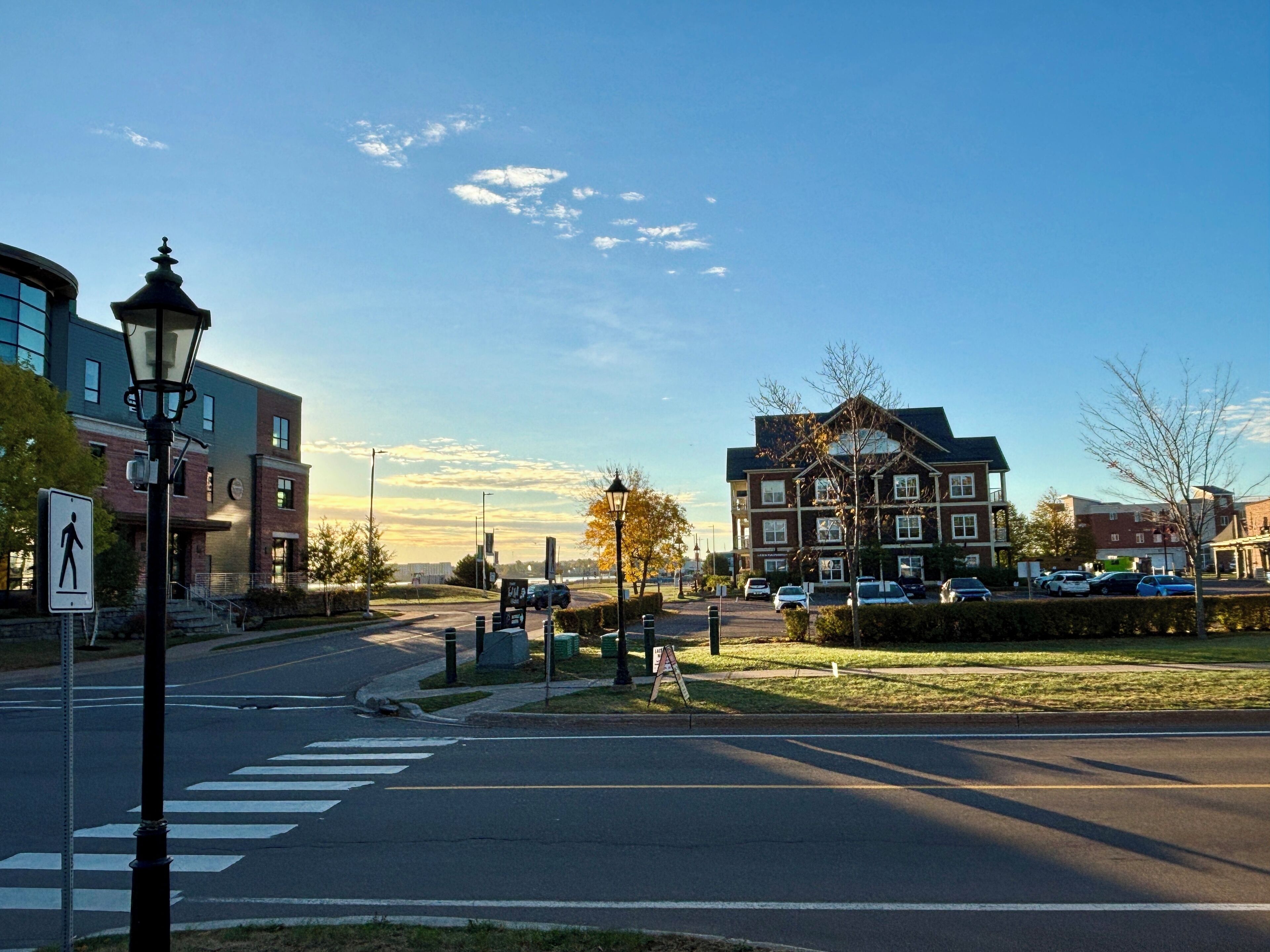 A street view with a pedestrian crossing, a lamp post, and a row of parked cars.
