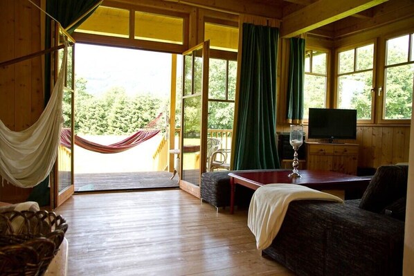 TV, fireplace, DVD player, books