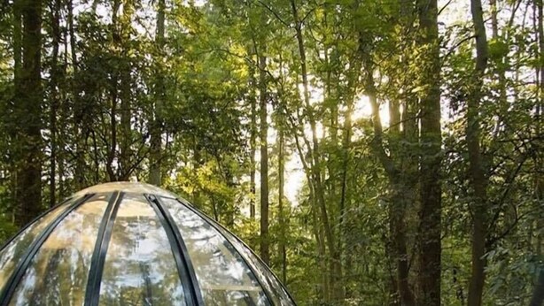 Eine kuppelförmige Holzhütte in einem Wald.